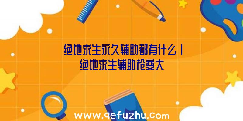 「绝地求生永久辅助都有什么」|绝地求生辅助枪变大